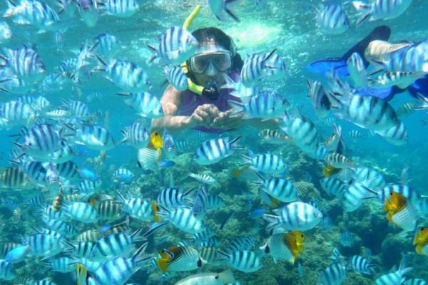 Turis Asal Jepang Tenggelam di Gili Air, Tim SAR Sisir Perairan Lombok Utara