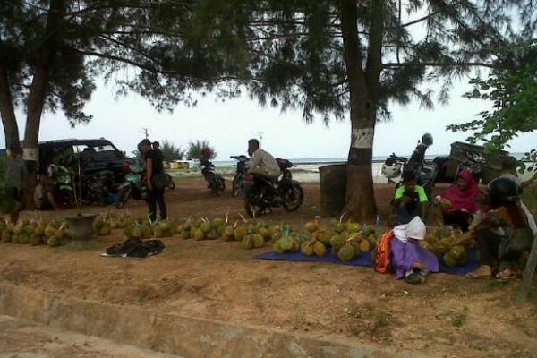 Caleg PKB Berjanji Perjuangkan Durian Natuna Masuk ke Pasar Ekspor