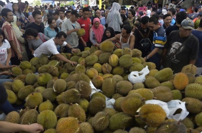Durian Montong Menjadi Primadona di Festival Pesta Durian