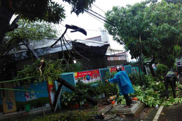 Hujan dan Badai di Jakarta Tumbangkan 33 Pohon