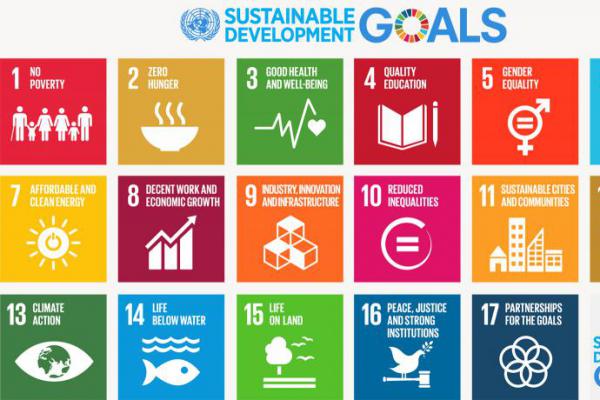Program SDGs Relevan dengan Visi Pembangunan Nasional Indonesia