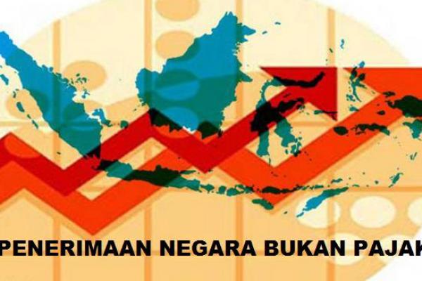 Revisi UU PNBP Disahkan, Kemenkeu Sederhanakan Jumlah Tarif PNBP