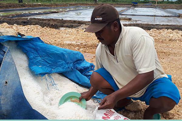 Pemerintah Bakal Serap Garam Lokal 1,5 juta Ton