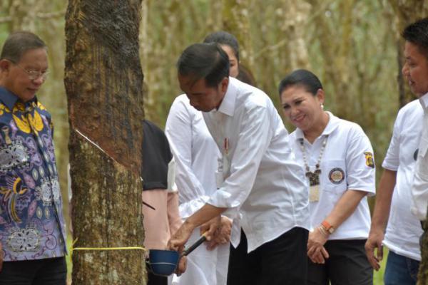 Indonesia Dorong Peningkatan Konsumsi Karet dalam Negeri