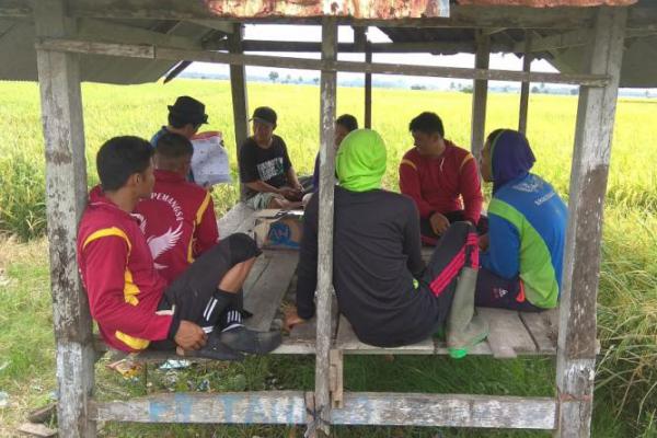 Harianto Oghie Perkuat Dukungan ke Kelompok Tani di Pinrang