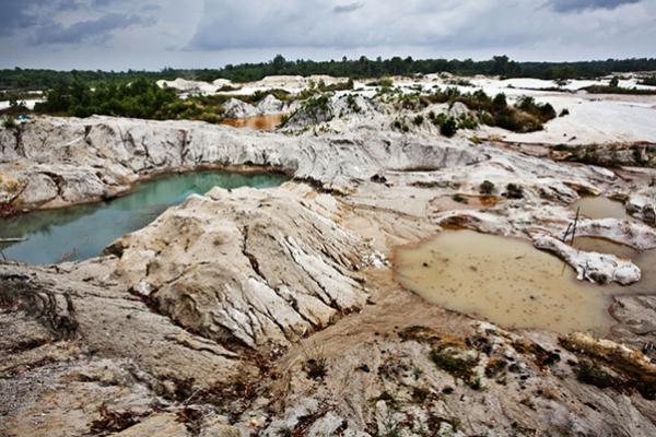 Perusahaan Tambang Komitmen Dorong Dekarbonisasi