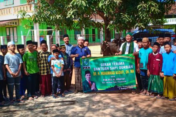 DPR RI Terpilih PKB, Muhammad Kadafi Qurban 29 Ekor Sapi