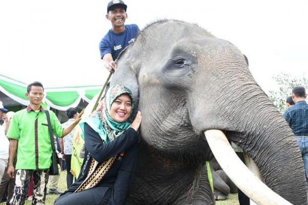 Peduli Pariwisata Antarkan Chusnunia Chalim Jabat Ketua
