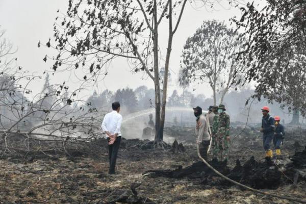 Presiden Jokowi Tinjau Lokasi Kebakaran Hutan di Riau