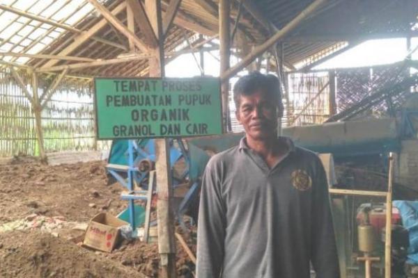 Warga Bondowoso Sukses Kembalikan Kesuburan Tanah dengan Urine Sapi