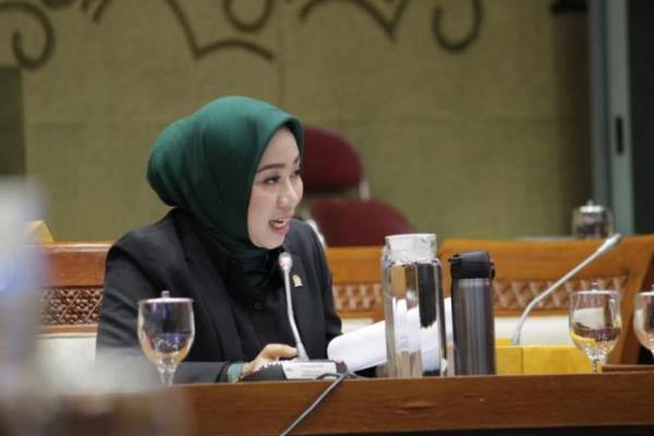 Ratna Juwita Minta RUU Omnibus Law Perpajakan Berikan `Privilege` Untuk Pengusaha Domestik