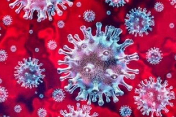 Tak Kenal SARA, Doni Monardo: Virus Corona Bisa Serang Siapa Saja