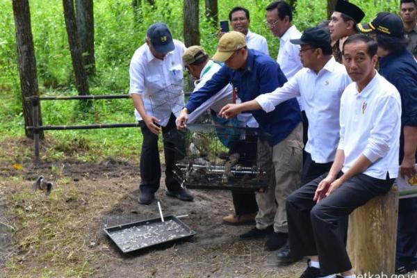 Presiden Jokowi Imbau Masyarakat Perhatikan Flora dan Fauna Serta Reboisasi