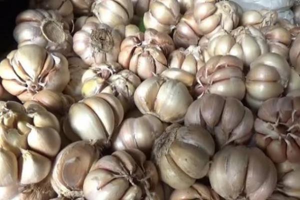 Harga Telur Ayam dan Bawang Putih Sumbang Deflasi Maret