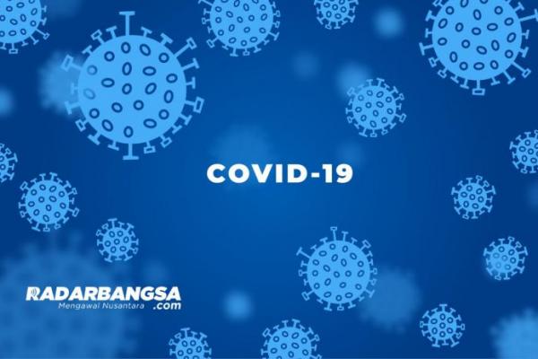 Kasus COVID-19 di Indonesia Tambah 2.896, Sembuh 3.617