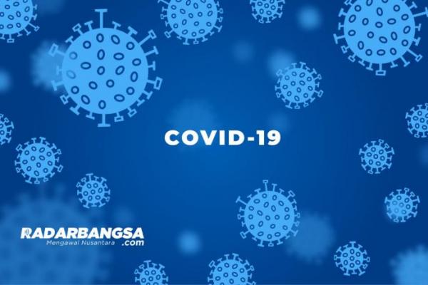 Kasus Positif COVD-19 di Indonesia Tambah 18.872, Sembuh 8.557