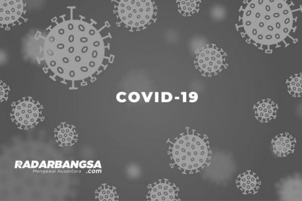 Kasus COVID-19 di RI Tambah 617, Sembuh 1.178