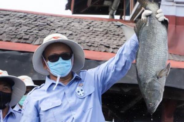KKP Ajak Masyarakat Terapkan Lebaran Ikan