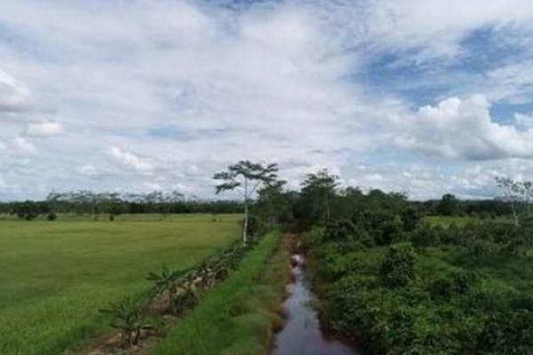 Kementerian PUPR Dukung Program Lumbung Pangan Baru di Kalimantan Tengah