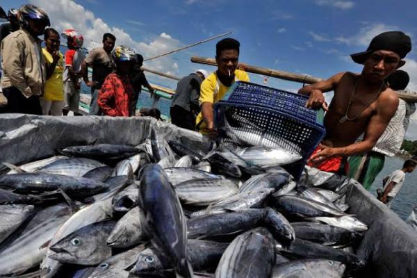 RI Ekspor Perdana 27 Ton Ikan Ke China