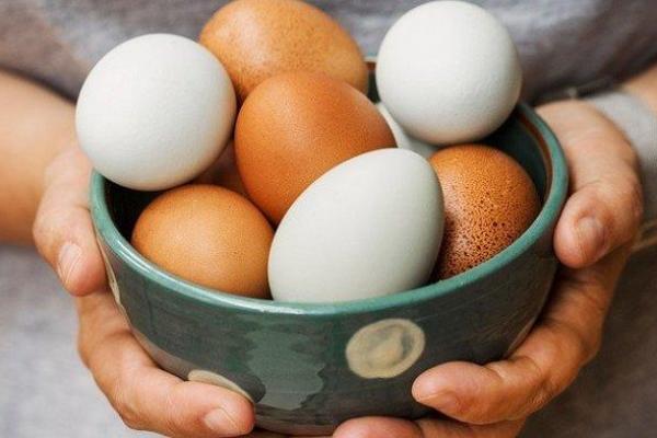 Mengenal Telur Infertil, Telur yang Dilarang Peredarannya oleh Pemerintah