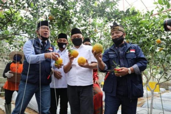 Menkop Kembangkan Koperasi Pangan Pesantren