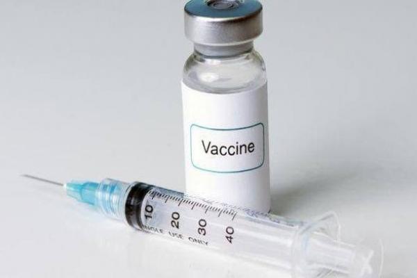 Pusvetma Kementan Ekspor Vaksin Septivet ke Timor Leste