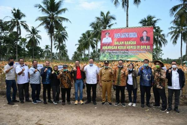 Komisi IV DPR Dukung Kementan Tingkatkan Produksi Pertanian di Lampung
