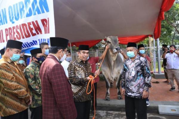 Presiden Jokowi Serahkan Sapi Kurban Berat 1 Ton ke Masjid Istiqlal