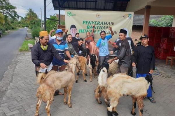 Iduladha 1441 H, Nihayah Center Potong dan Distribusikan Puluhan Hewan Kurban