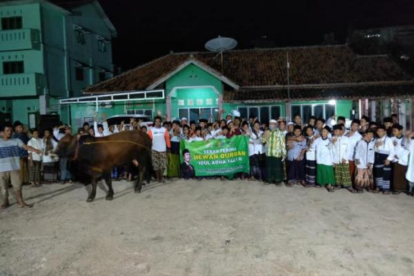 Legislator PKB, Muhammad Kadafi Kurban 15 Ekor Sapi