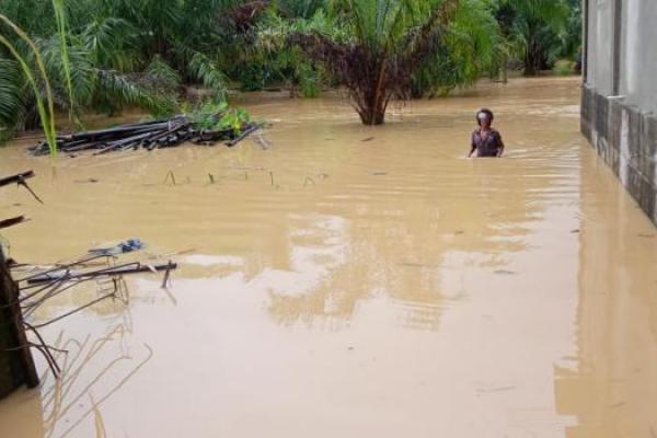 BNPB: 1.312 Jiwa Terdampak Banjir di Tanah Laut Kalsel