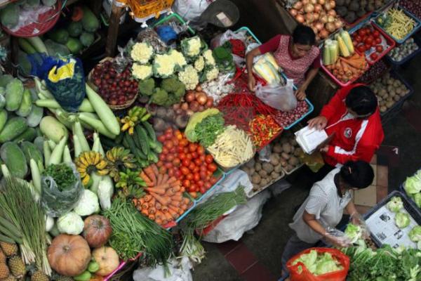 Harga Bapok Awal Tahun Terpantau Stabil