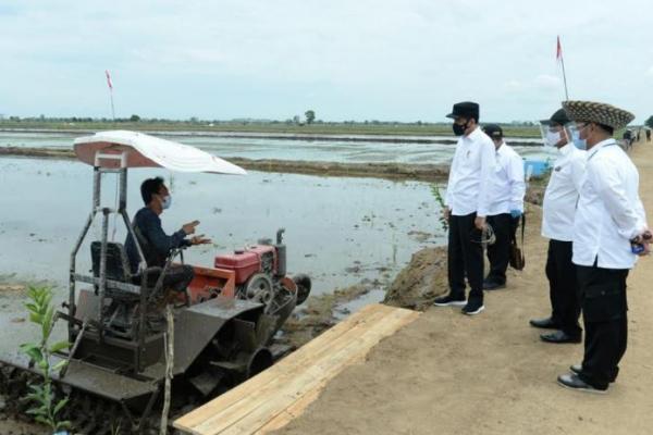 Garapan Lahan Food Estate Ditargetkan Rampung Akhir Tahun