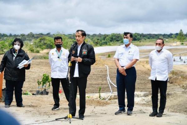 Presiden Jokowi Tinjau Kawasan `Food Estate` Baru di Sumut