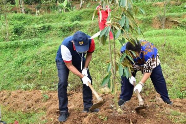 Kementerian PUPR Siapkan Penananam Pohon Bernilai Ekonomis di Area Sabuk Hijau Bendungan