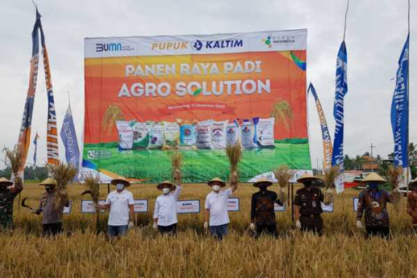 Pupuk Indonesia Perluas Program Agro Solution