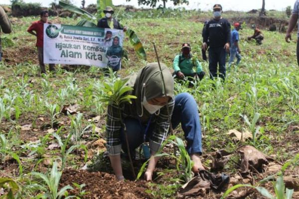 Ratna Juwita Ajak Masyarakat Tanam Pohon Untuk Menjaga Lingkungan