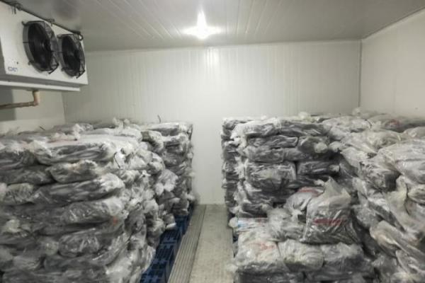 KKP Salurkan Cold Storage Berkapasitas 50 Ton ke UMKM