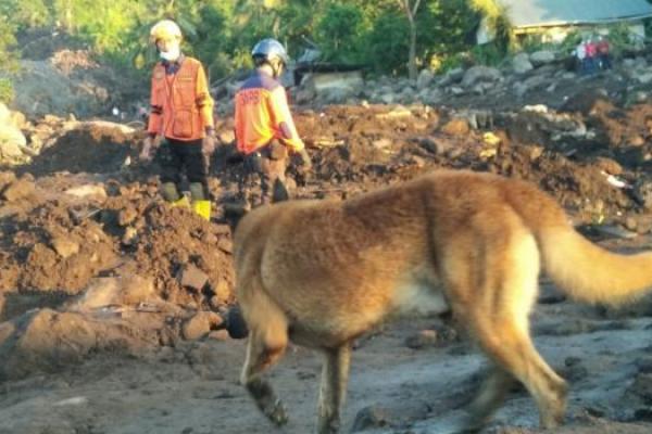 SAR Dog Bantu Temukan Satu Jenazah Warga Kabupaten Kupang