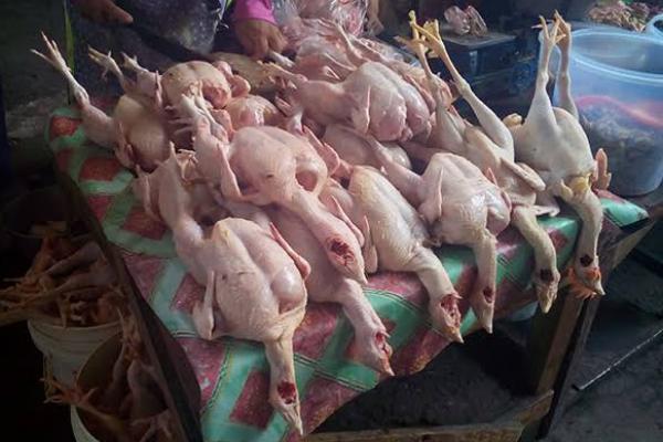 Jokowi Sebut Harga Daging Ayam Naik Terlalu Tinggi