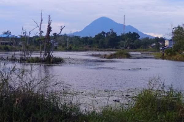 KKP Lepasliarkan Ribuan Ikan Endemik di Danau Padong Pangeran Sanggau