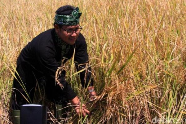 Gus AMI Minta Pemerintah Berikan Perhatian Serius Sektor Pertanian