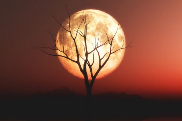 Gerhana Bulan Total, Kenapa Bewarna Merah?   