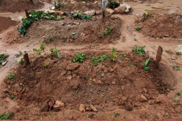 Masyaallah, Ini Manfaat Menabur Bunga di Makam