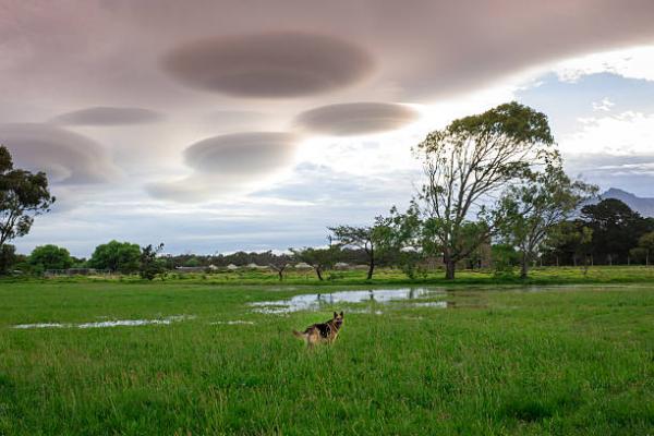 Awan Mirip UFO Muncul di Aceh, Ini Penjelasan BMKG