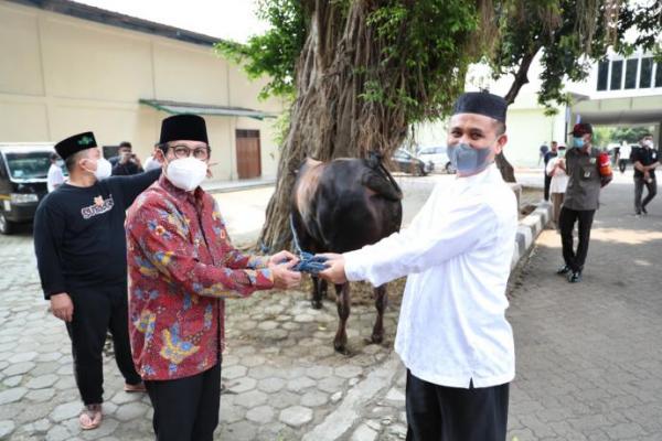 Gus Halim Serahkan Hewan Qurban ke Takmir Masjid Al-Muhajirin