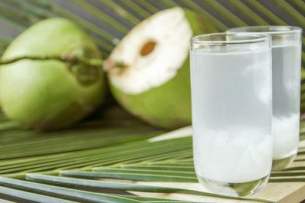 Ini Manfaat Minum Air Kelapa Murni untuk Kesehatan