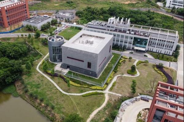 Ada Bukti Dokumen AS Danai Eksperimen Virus Corona Sejak 2014 di Lab Wuhan 