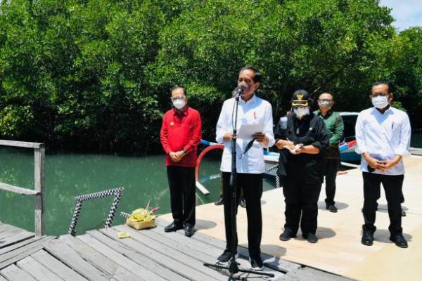 Menuju G20, Pemerintah Lakukan Penataan Kawasan Mangrove Ngurah Rai Bali